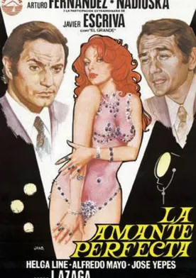 Poster La amante perfecta