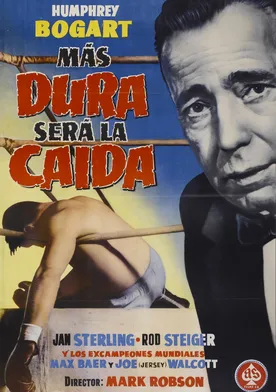 Poster La caída de un ídolo