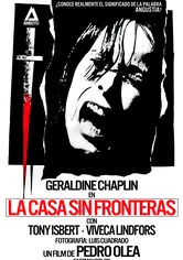 Poster La casa sin fronteras