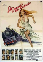 Poster La dama del expreso