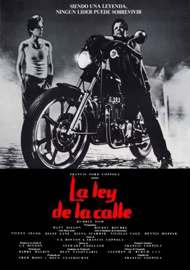 Poster La ley de la calle