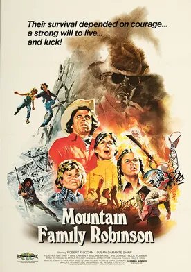 Poster La montaña de la familia Robinson