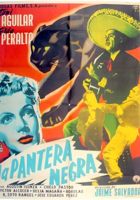 Poster La pantera negra