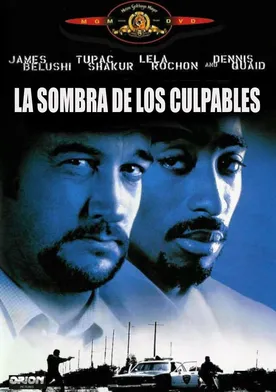 Poster La sombre de los culpables