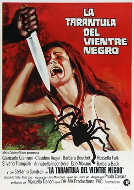 Poster La tarántula del vientre negro