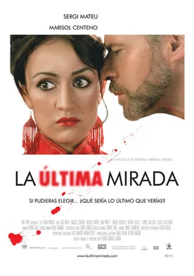 Poster La última mirada