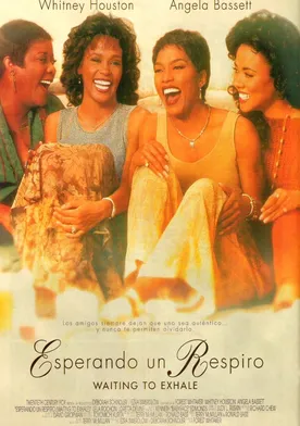 Poster de Laberinto de pasiones