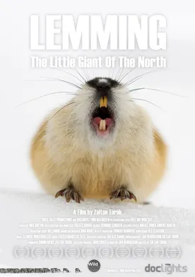 Poster Lemming, the little giant of the North