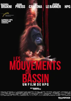 Poster Les mouvements du bassin