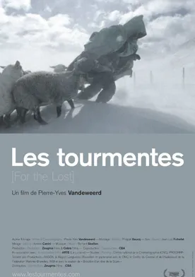 Poster Les tourmentes