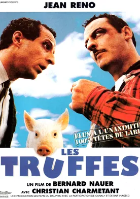 Poster Les truffes