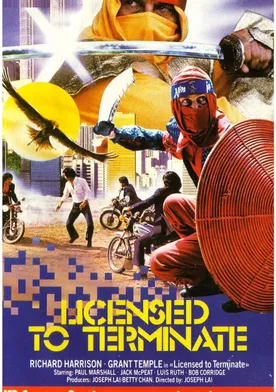 Poster Licencia Ninja para matar