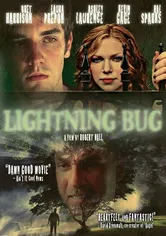 Poster Lightning Bug