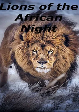 Poster Lions of the African Night