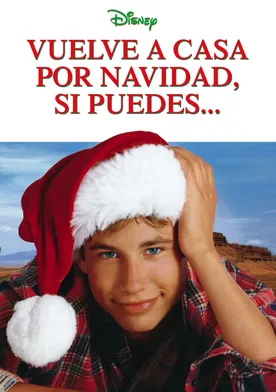 Poster Llegaré en Navidad