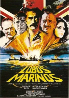 Poster Lobos marinos