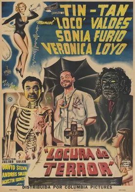 Poster Locura de terror