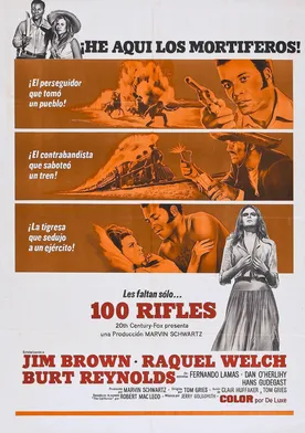 Poster de Los 100 rifles
