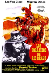 Poster Los forajidos de Río Bravo