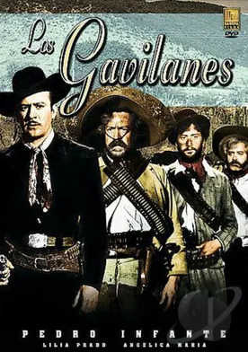 Poster Los gavilanes