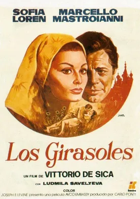 Poster Los girasoles de Rusia