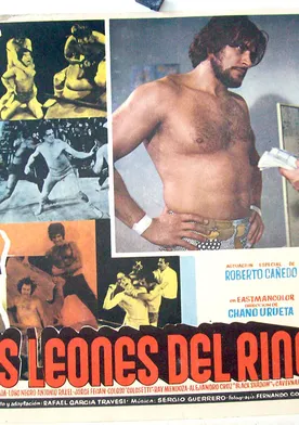 Poster Los leones del ring