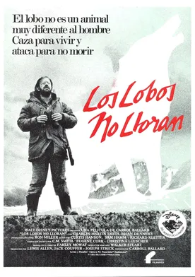 Poster Los lobos no lloran