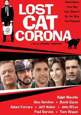 Poster Lost Cat Corona