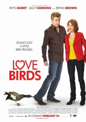 Poster Love Birds