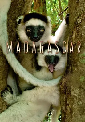 Poster Madagascar: Land of the Chameleons