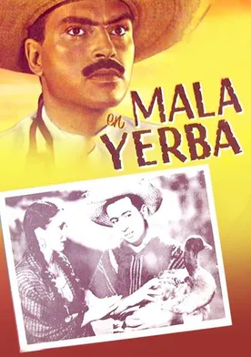 Poster Mala yerba