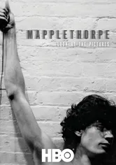 Poster Mapplethorpe: Look at the Pictures