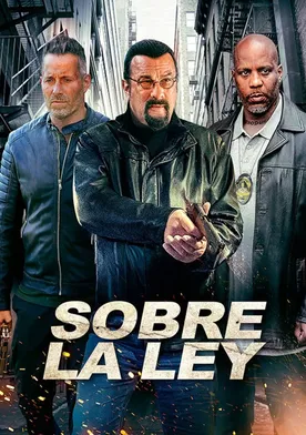 Poster Más allá de la ley