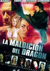 Poster Max Havoc: Curse of the Dragon