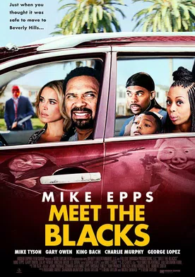 Poster Meet the Blacks