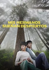 Poster Mis Hermanos Sueñan Despiertos