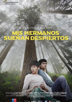 Poster de Mis Hermanos Sueñan Despiertos