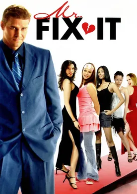 Poster Mr. Fix It