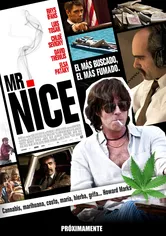 Poster Mr. Nice