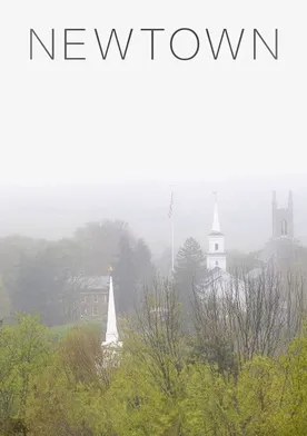 Poster de Newtown