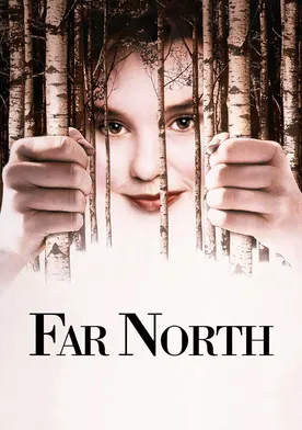 Poster de Norte lejano