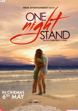 Poster One Night Stand