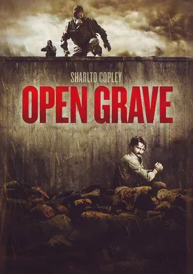 Poster Open Grave