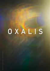 Poster Oxalis