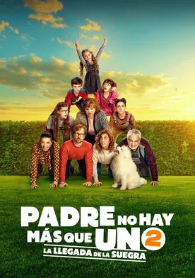 Poster Padre no hay más que uno 2: La llegada de la suegra