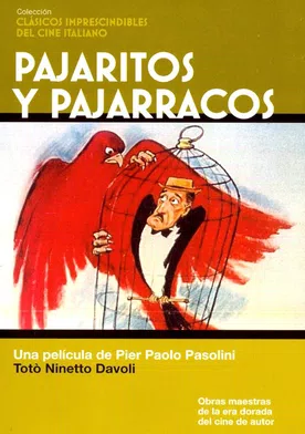 Poster Pajarracos y pajaritos