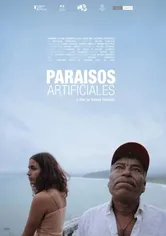 Poster de Paraísos artificiales