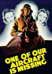 Poster de Perdido un avión