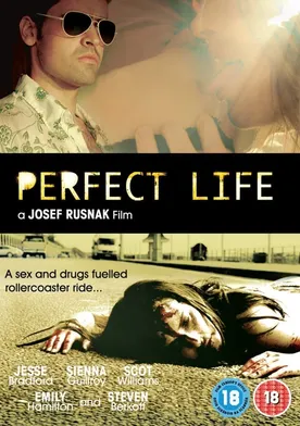 Poster Perfect Life