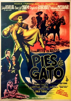 Poster Pies de gato